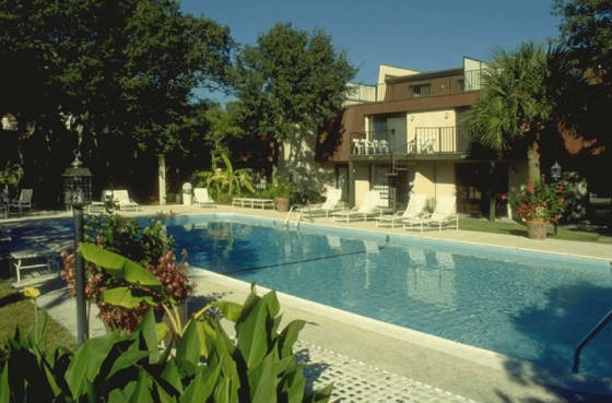 oceanclubpool.jpg