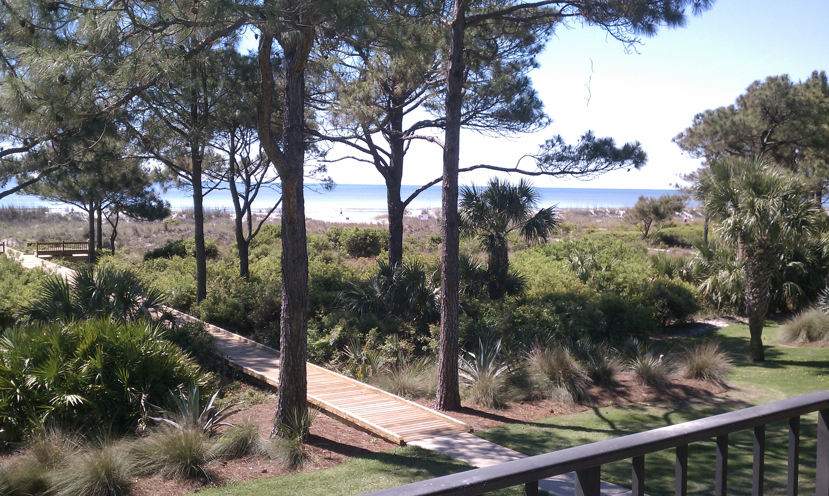 IMAG0115.jpg