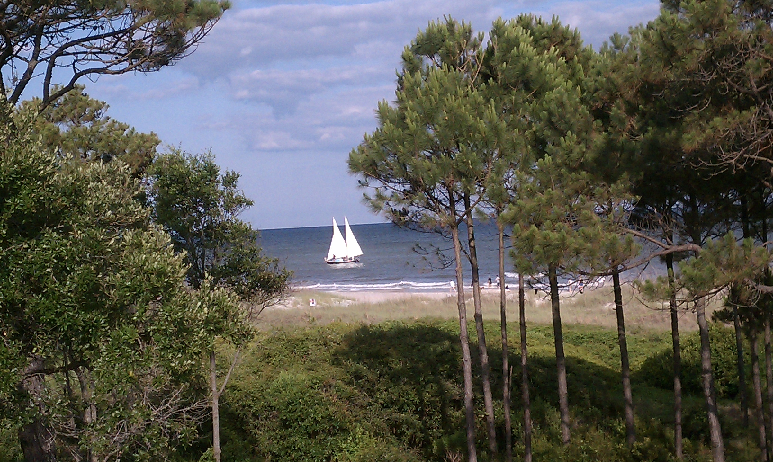 IMAG0187.jpg
